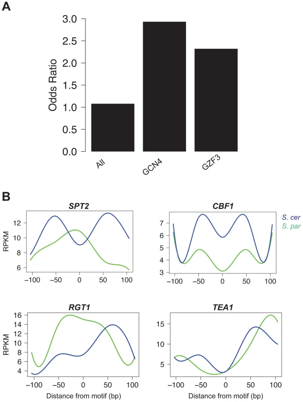 Motifs contributing to <i>cis</i> and <i>trans</i> effects.