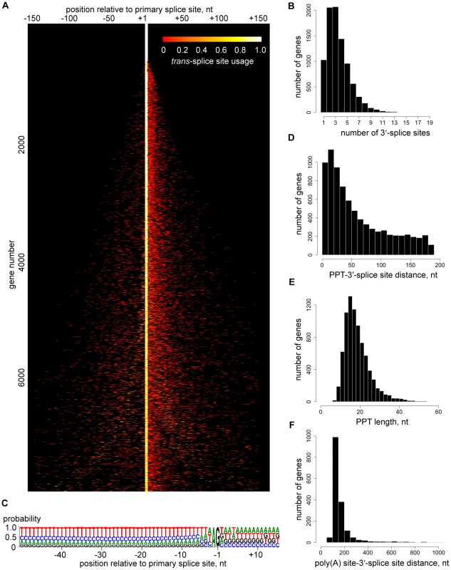 <i>Trans</i>-splice sites in <i>T. brucei</i>.