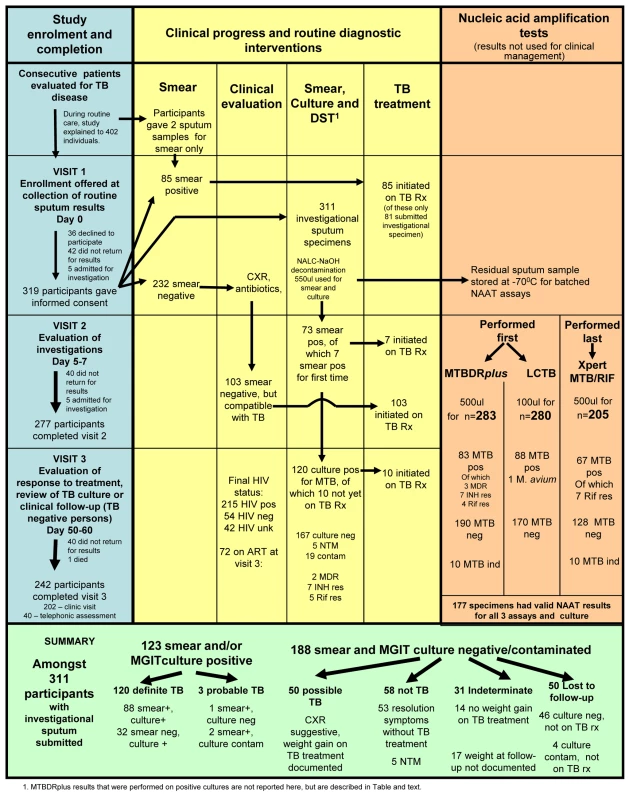Study algorithm.