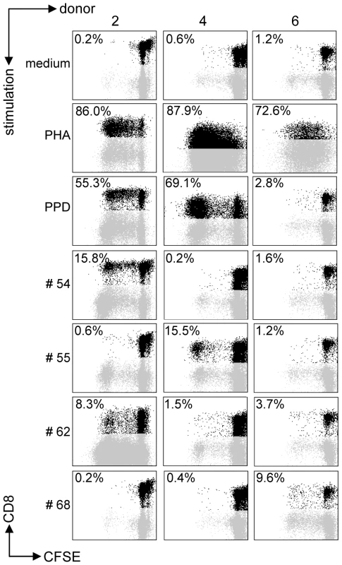 Predicted HLA-E binding Mtb peptides induce T-cell proliferation.