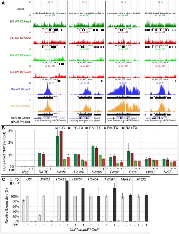 Several developmental genes demonstrate loss of H3K27me3 with RA treatment in the absence of KDM6 demethylation.
