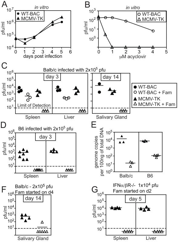 Replication of MCMV-TK is inhibited by acyclovir or famcyclovir.