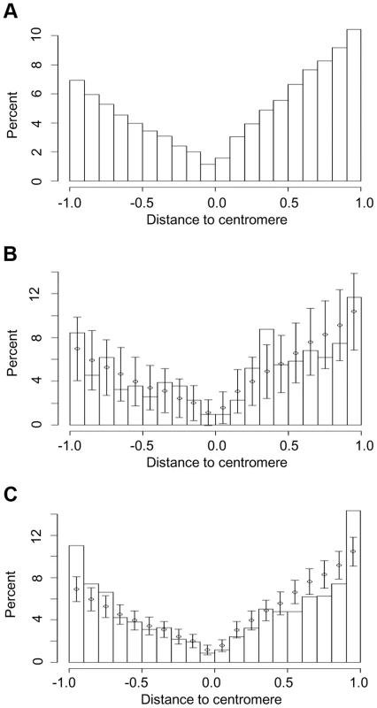Chromosomal locations of (a) all genes in five grass genomes and those that have undergone (b) recurrent intron loss or (c) any PA intron variation (gain or loss).