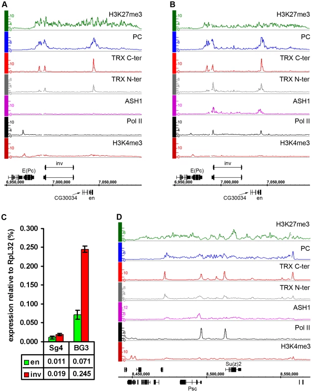 Examples of balanced chromatin state.
