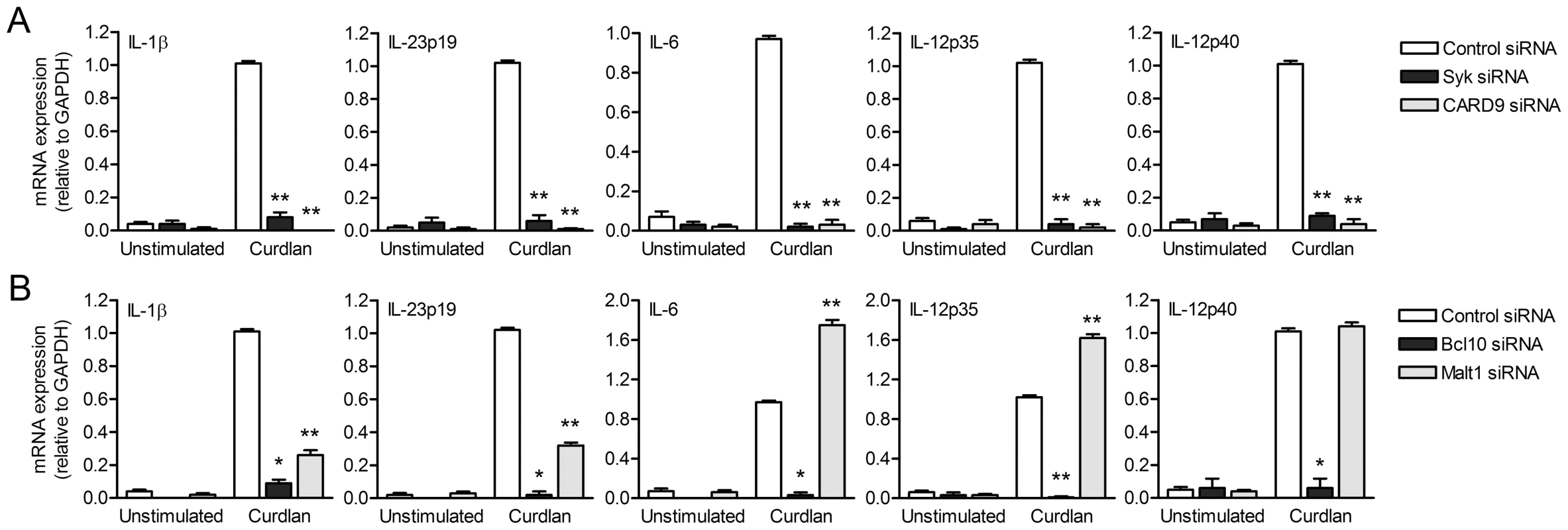 Dectin-1-induced cytokine expression requires Syk, CARD9 and Bcl10, whereas Malt1-mediated signaling enhances IL-1β and IL-23p19, but decreases IL-6 and IL-12p35 expression.