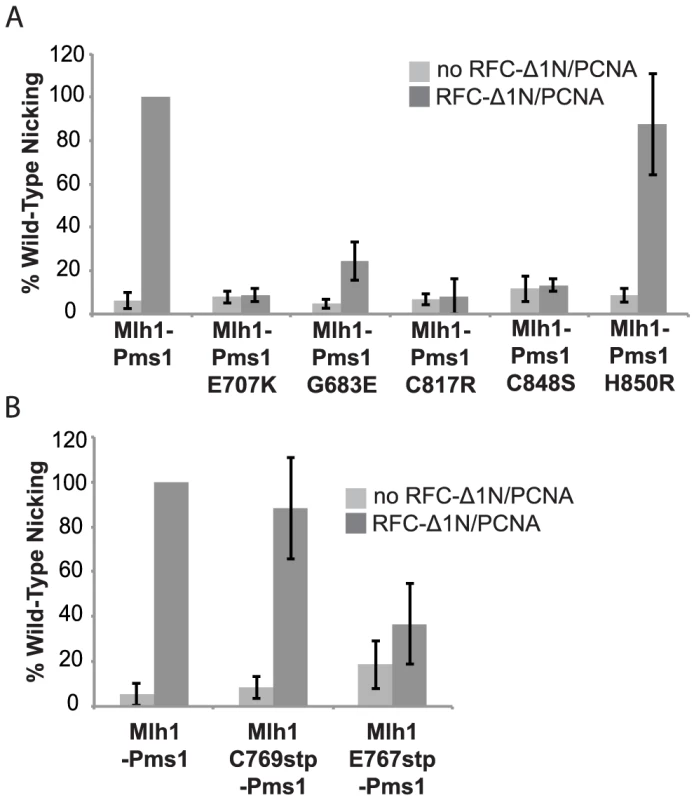 Metal coordination mutations eliminate the ability of Mlh1-Pms1 to nick closed circular DNA.