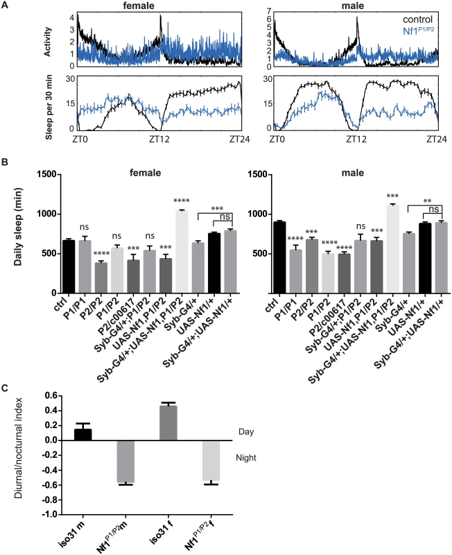Sleep reduction in <i>Nf1</i> mutants.