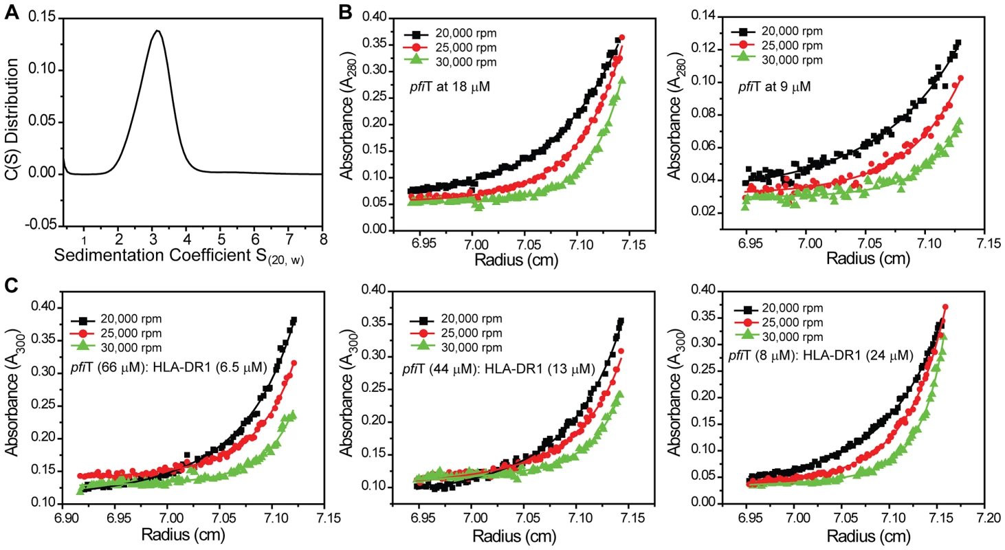 Analytical ultracentrifugation analysis of <i>pfi</i>T binding to recombinant HLA-DR1/HA complex.