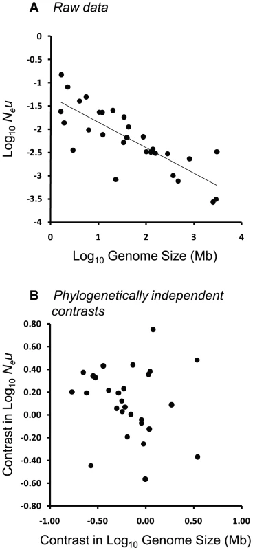 Relationship between <i>N<sub>e</sub>u</i> and genome size across 22 eukaryotic and 7 prokaryotic species from the dataset of Lynch &amp; Conery <em class="ref">[<b>7</b>]</em>.