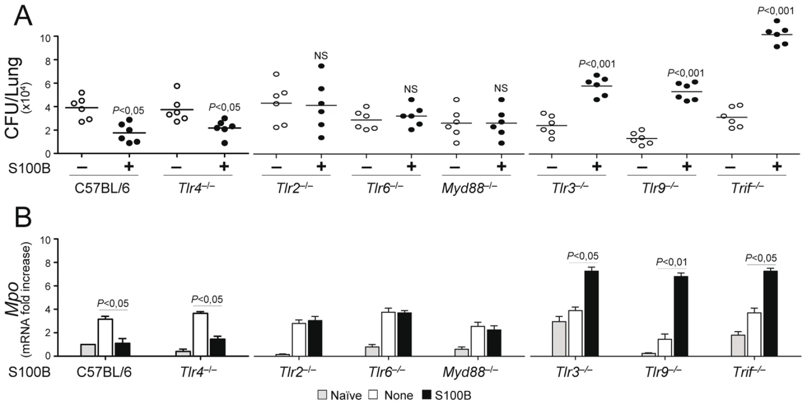S100B activity <i>in vivo</i> is contingent upon TLR signaling.