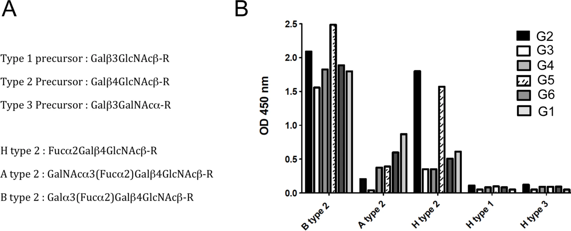 Binding of RHDV strains to immobilized synthetic oligosaccharides.