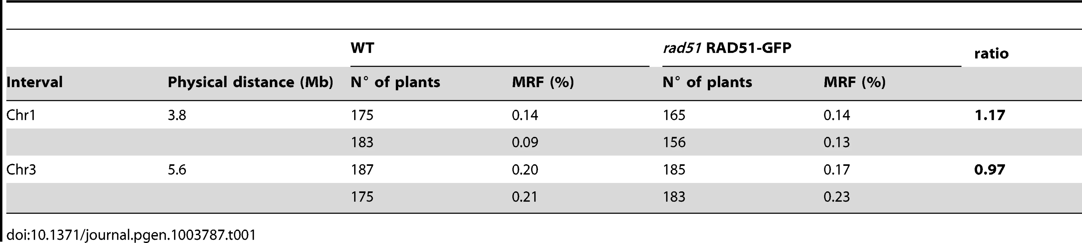 Meiotic recombination frequency (MRF) in WT and <i>rad51</i> RAD51-GFP mutant calculated from analyses of INDEL markers in F2 hybrids.