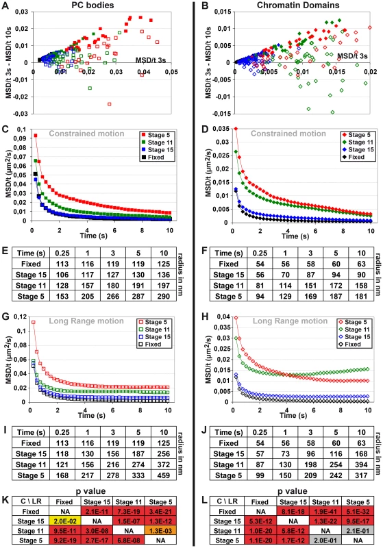 Both constrained and long-range motions of PC bodies and chromatin domains decrease during embryonic development.