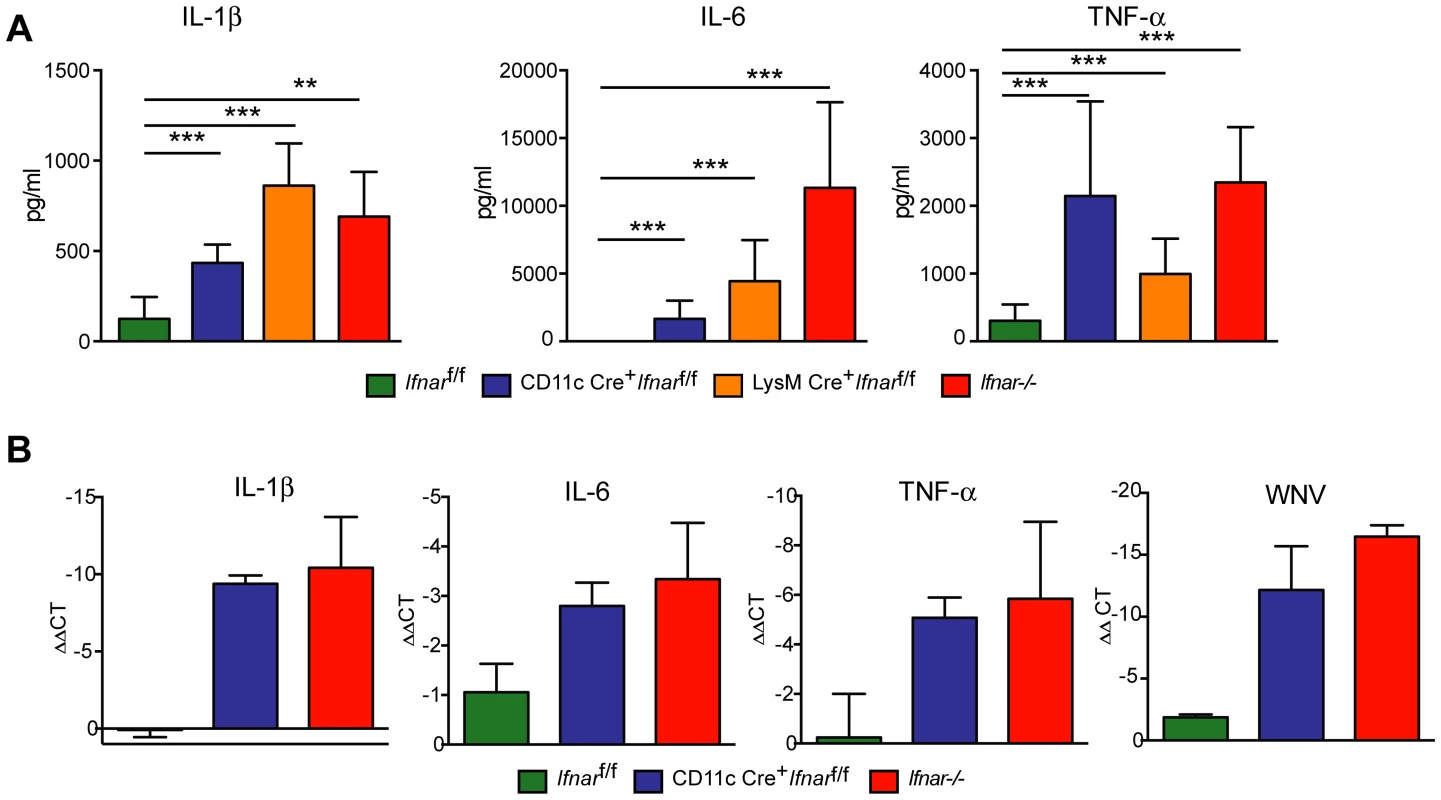 Serum cytokine levels in WNV-infected mice.