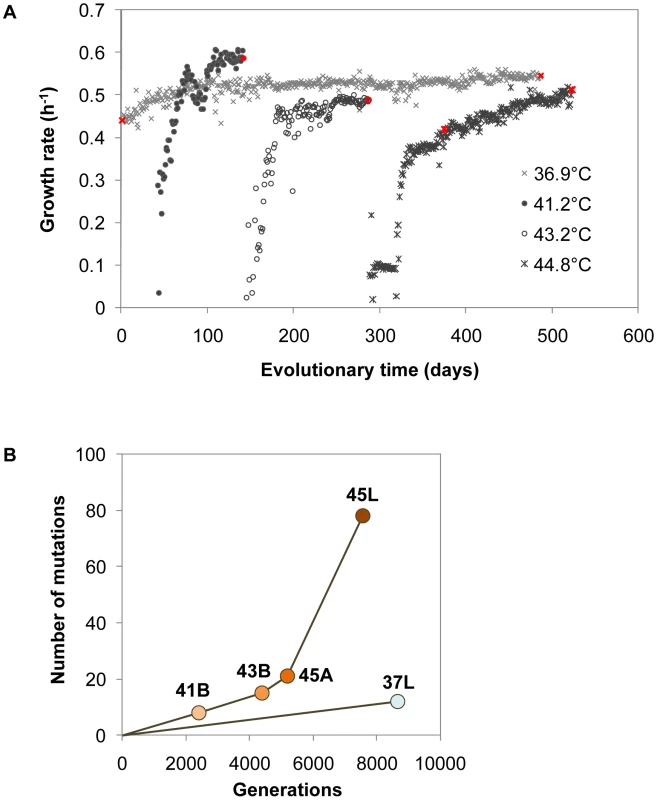 Fitness dynamics and genome mutations.