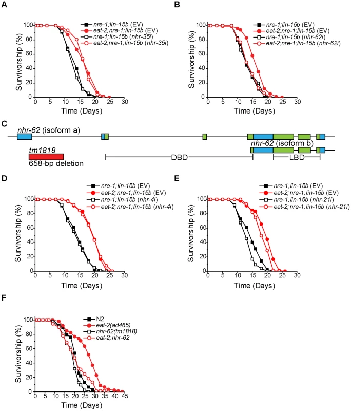 <i>nhr-62</i> mediates the longevity response to dietary restriction.