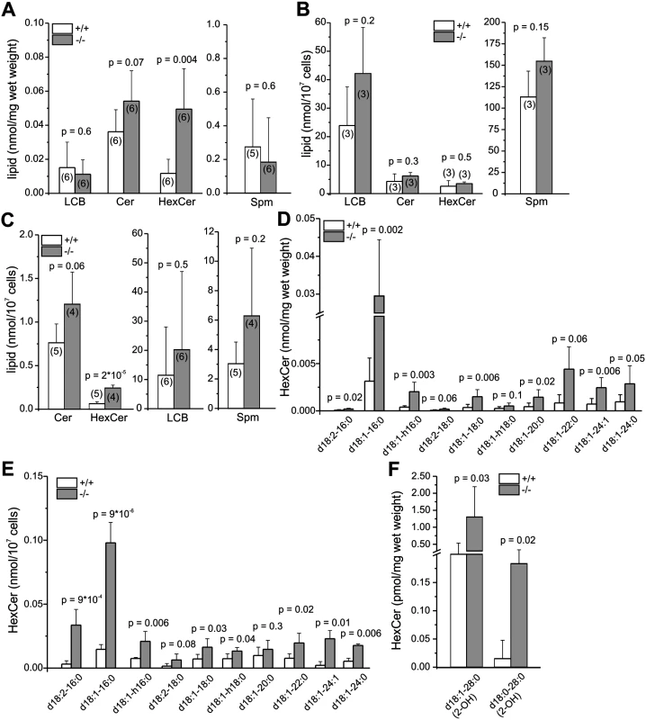 Lack of GBA2 results in accumulation of GlcCer.