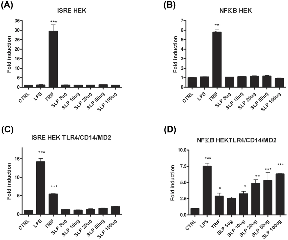 SLPs activate NFκB downstream of TLR4 but not IRF3.