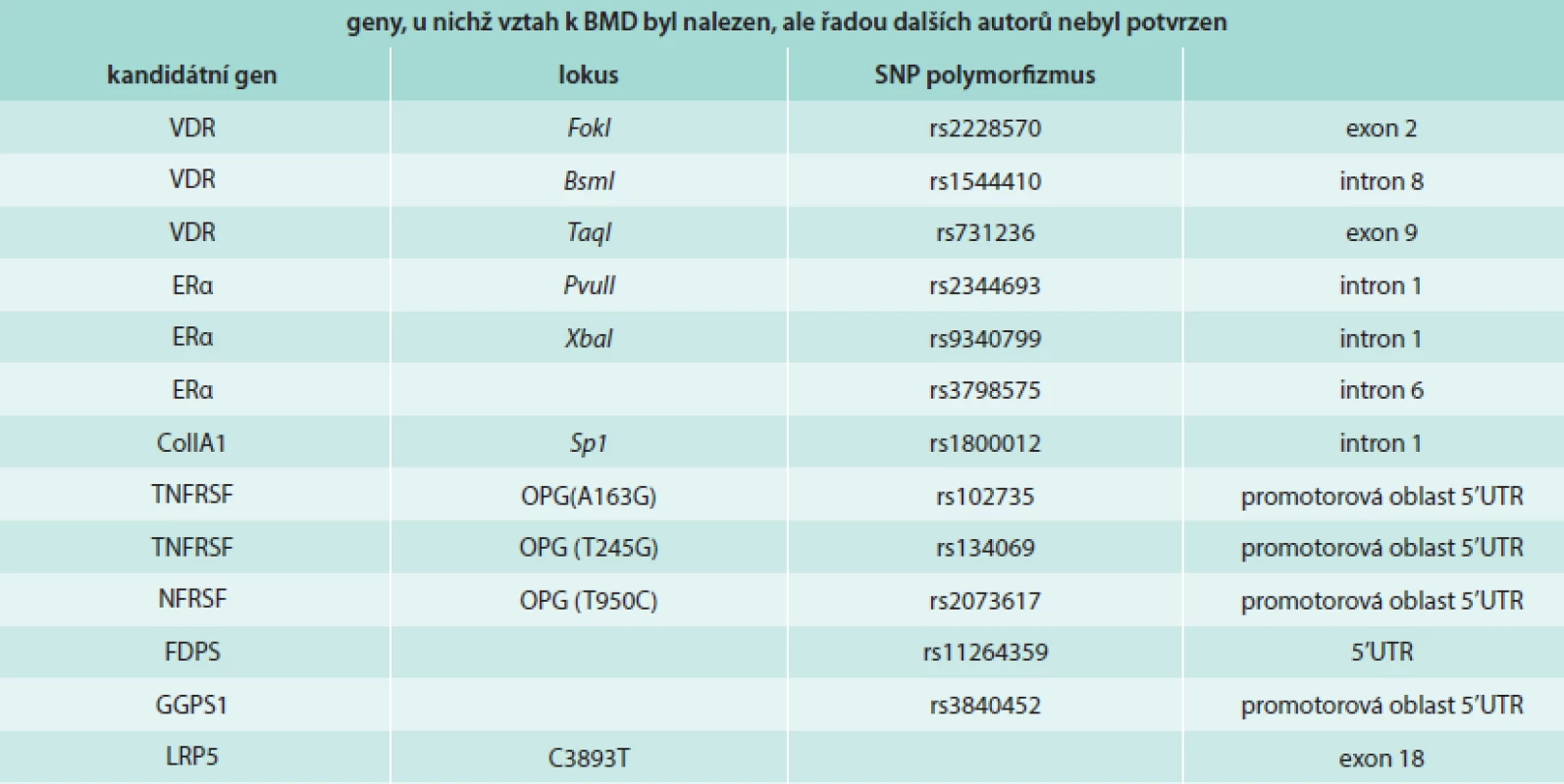 Polymorfizmy základních kandidátních genů asociované s kostní denzitou. Vztah ERβ k BMD nalezen nebyl. Upraveno podle [6].