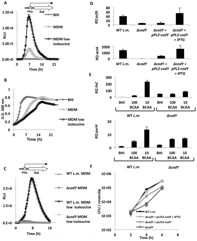 CodY regulates the transcription of virulence and metabolic genes under limiting concentrations of BCAAs.
