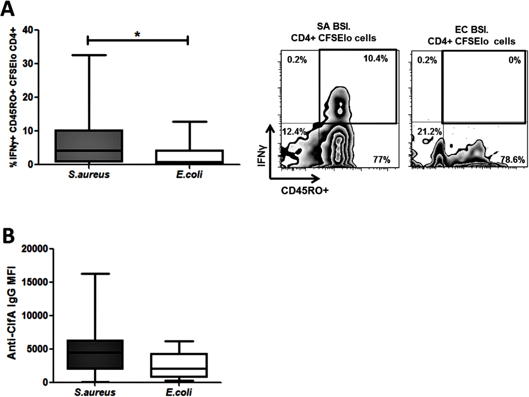 Human <i>S</i>. <i>aureus</i> bloodstream infection induces <i>S</i>. <i>aureus</i> antigen-specific effector memory Th1 cells and anti-ClfA antibodies.
