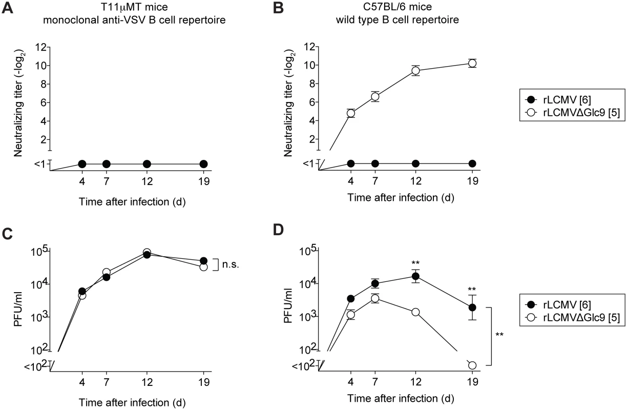 Glc9-mediated nAb evasion promotes protracted LCMV infection in mice.