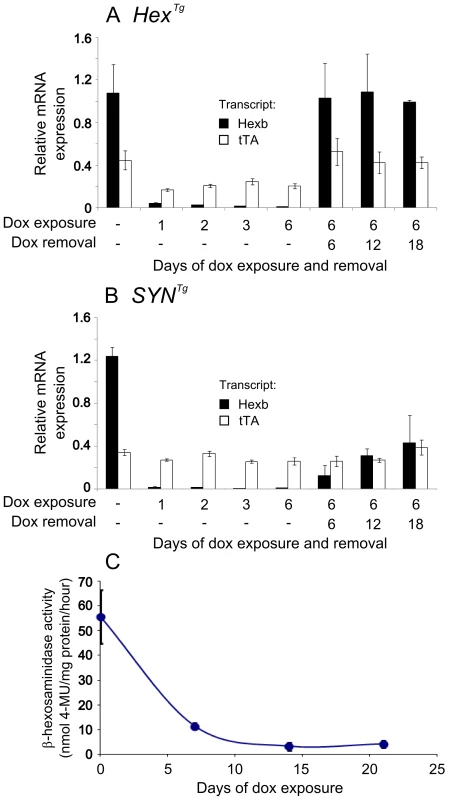 Inducible expression of transgenic constructs in the brain.