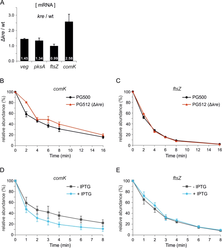 Kre affects <i>comK</i> mRNA stability.