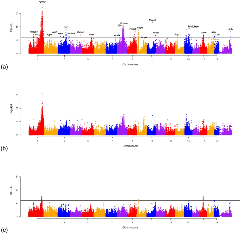 Manhattan plots showing the results of Meta-GxE applied to (a) 17 HDL studies, (b) 9 HDL studies consisting only of male animals and (c) 8 studies consisting only of female animals.