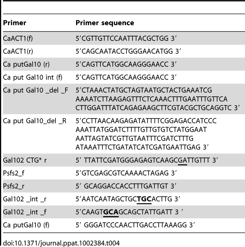 List of primers.