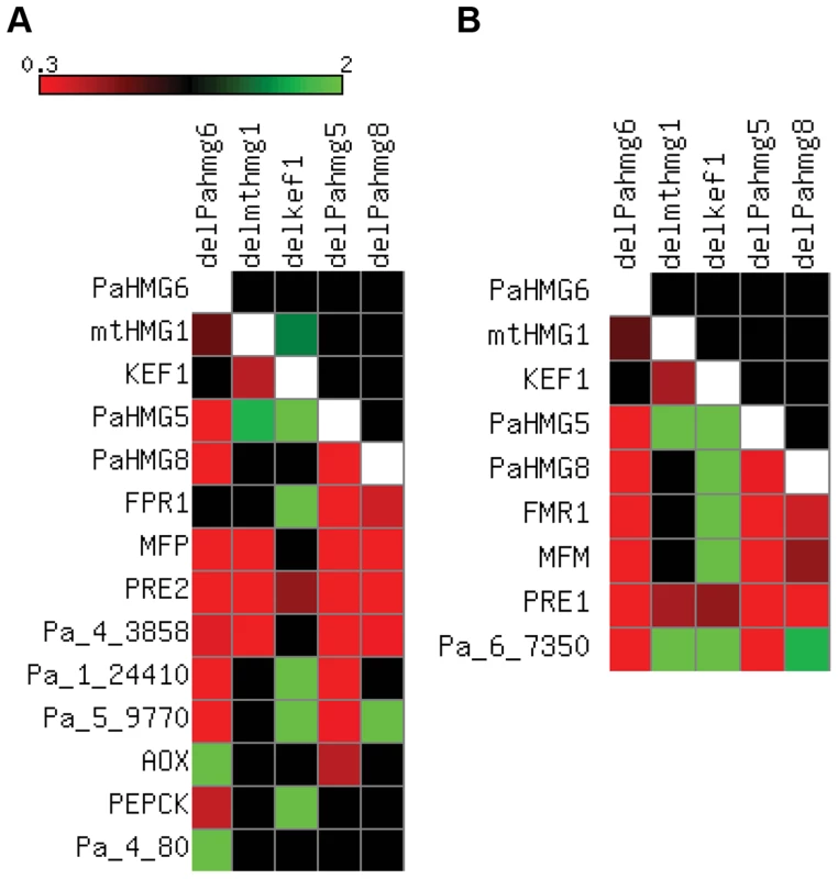 Expression of HMG-box genes and mating-type target genes in strains with HMG-box gene deletion.