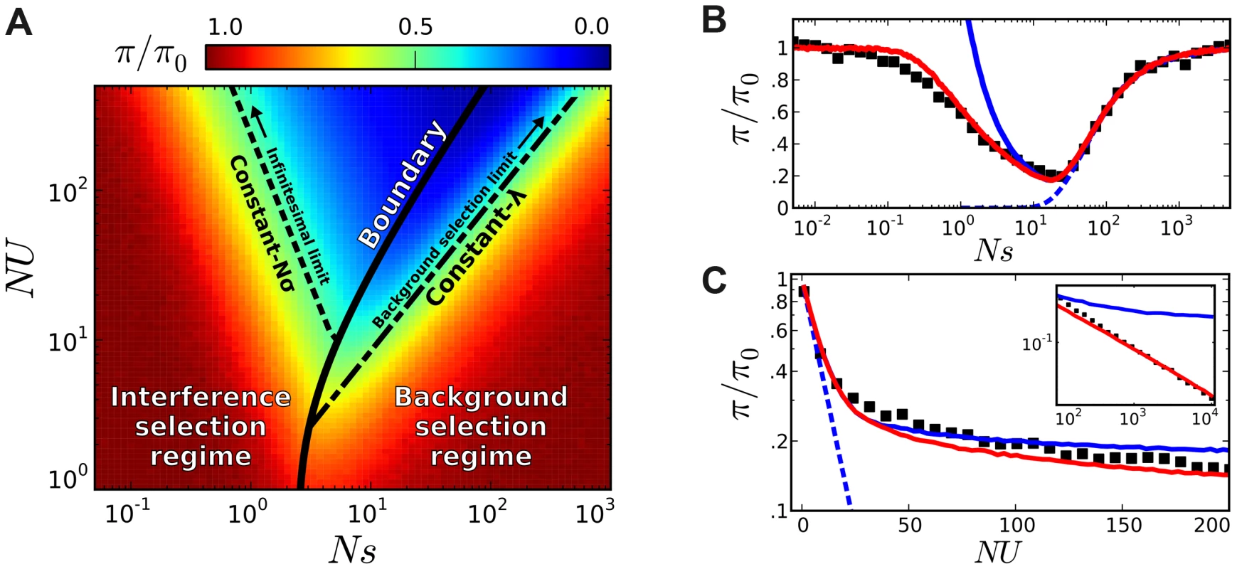 Coarse-grained predictions for the reduction in pairwise diversity.
