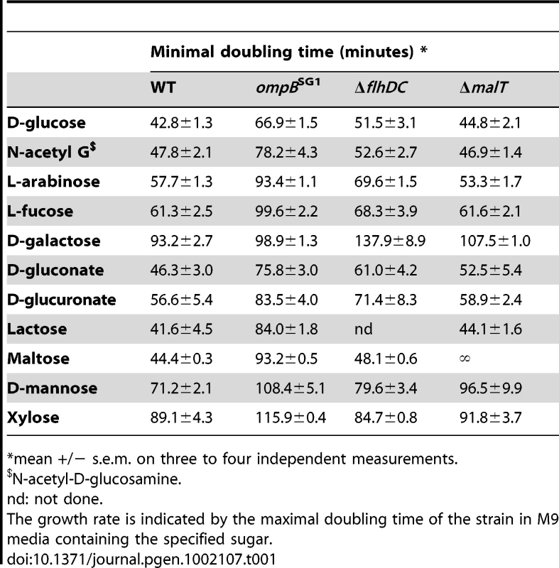Maximal growth rates of the ancestral strain (WT) and isogenic mutants in minimal media containing a single source of energy.