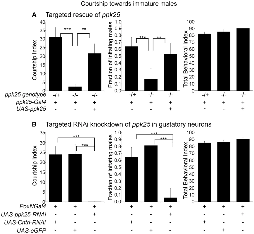 Male courtship of immature males requires <i>ppk25</i> function.