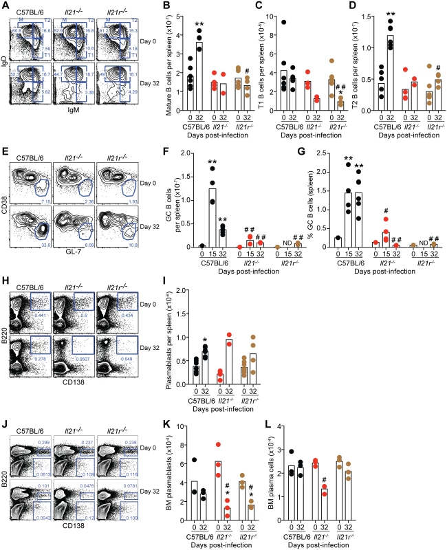 Flow cytometry analysis of B cell responses during <i>P</i>. <i>chabaudi</i> infection in WT C57BL/6, <i>Il21</i><sup><i>-/-</i></sup> and <i>Il21r</i><sup><i>-/-</i></sup> mice.