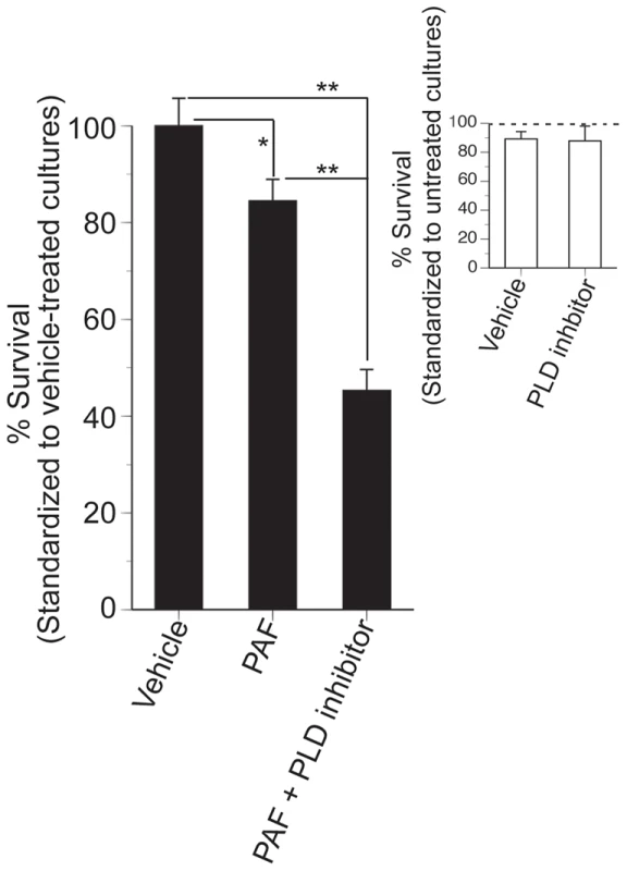 Inhibition of PLD reduces the survival of N2a cells treated with C16:0 PAF.