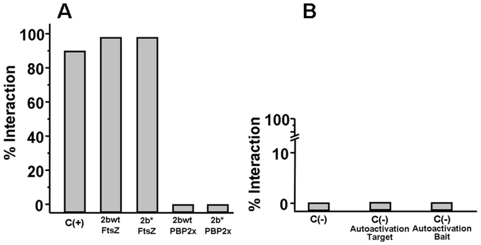 Bacterial two hybrid assay.
