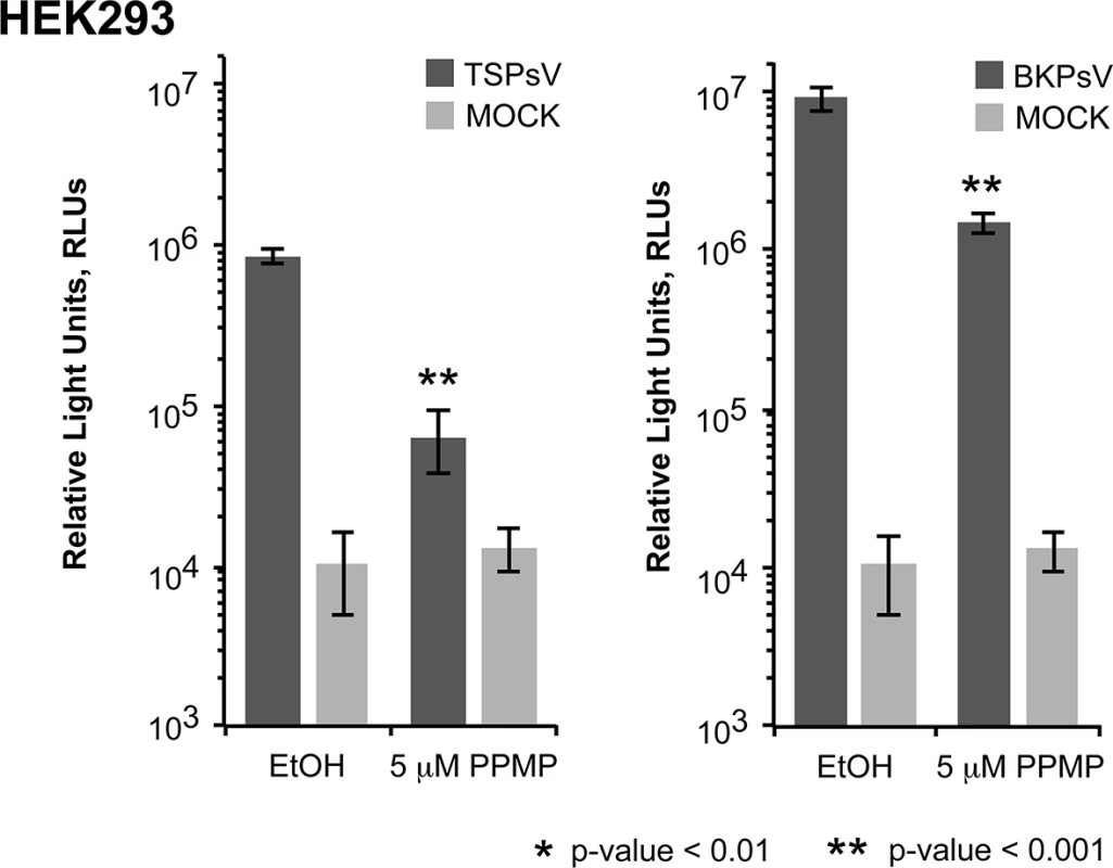 Glycolipids are important for TSPsV infection.