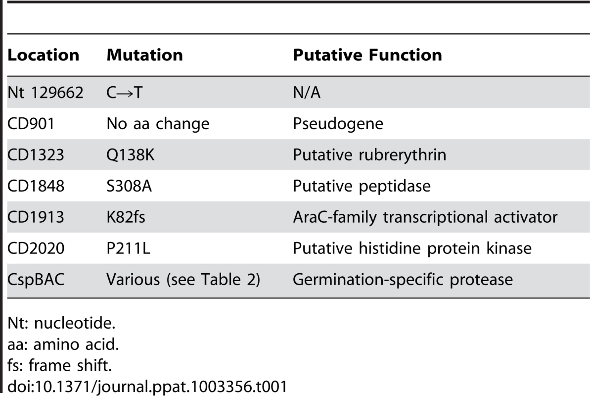 Locations of the SNPs common to all 10 <i>C. difficile ger</i> isolates. Gene numbering is based upon <i>C. difficile</i> R20291 gene numbering.