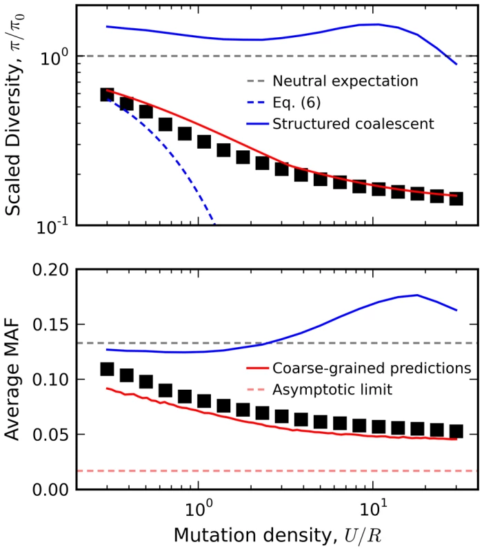 Relation between diversity and recombination rate in the presence of interference.