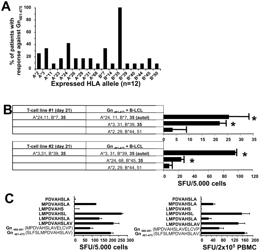 HLA-restriction and minimal optimal epitope of Gn<sub>461–475</sub>.