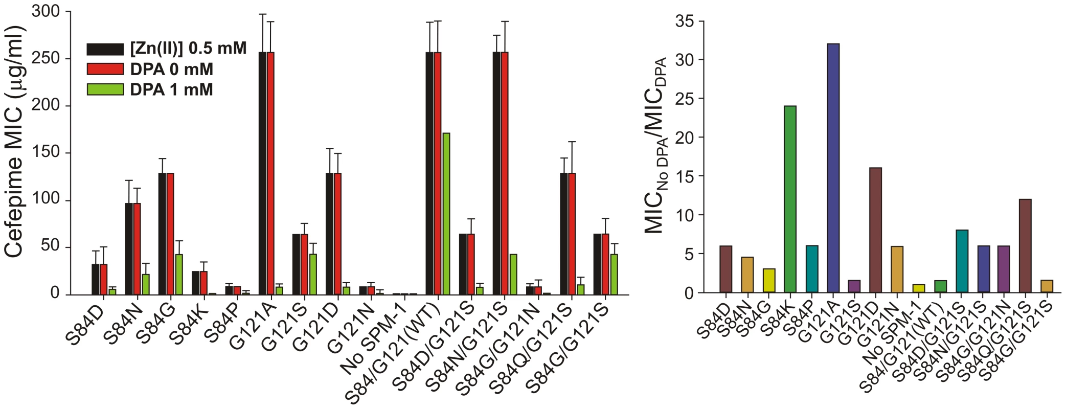 MIC values against cefepime of <i>P. aeruginosa</i> PAO containing SPM-1 mutants at different concentrations of the metal chelator dipicolinic acid (DPA).