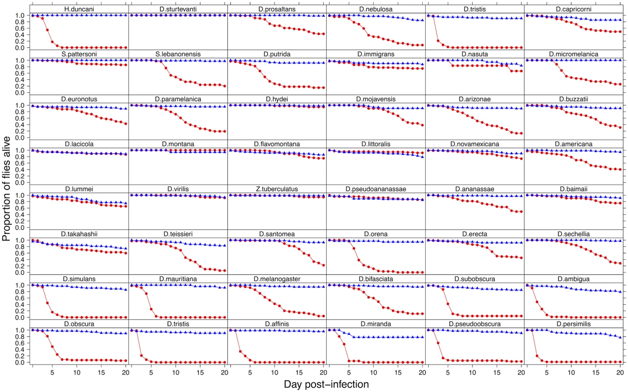 Mortality in 48 species of Drosophilidae after infection with DCV.