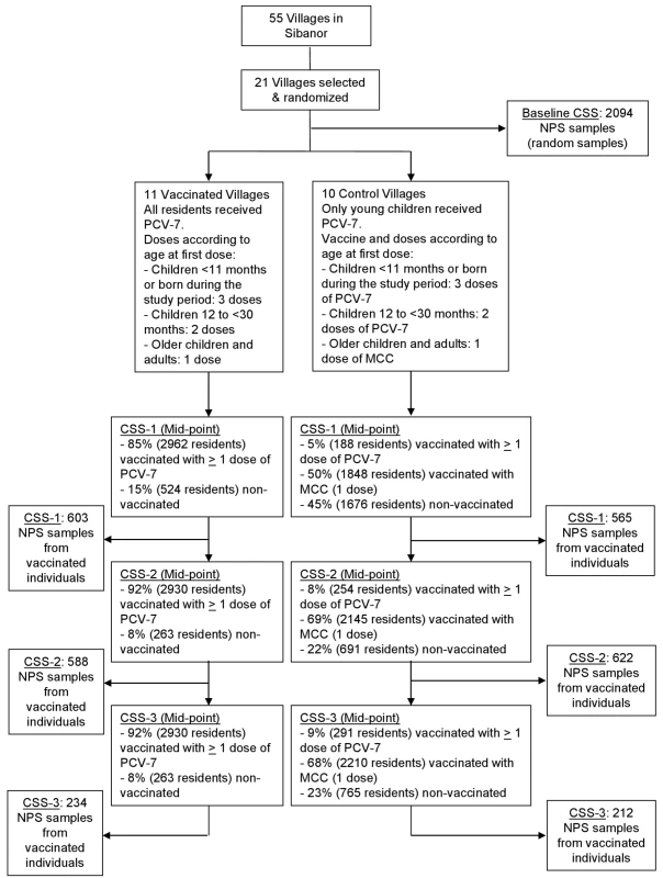 Trial profile.