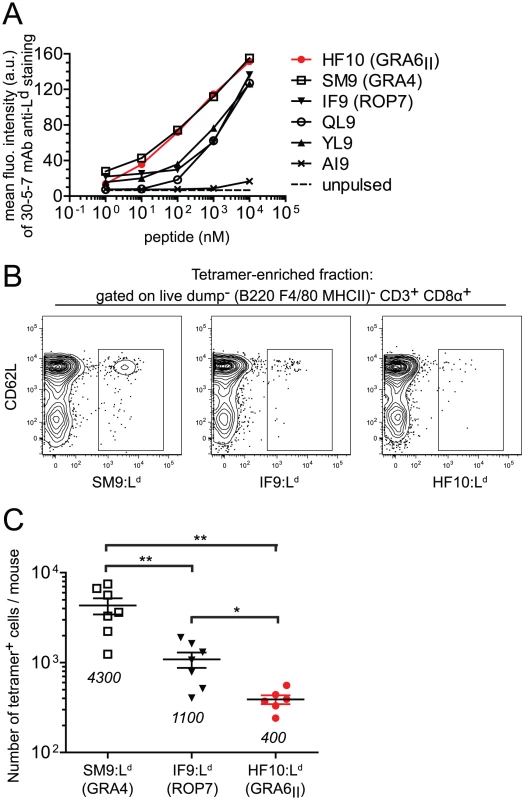 Immunodominance of GRA6<sub>II</sub>-derived HF10 cannot be explained by peptide affinity for L<sup>d</sup> or naïve T cell frequency.