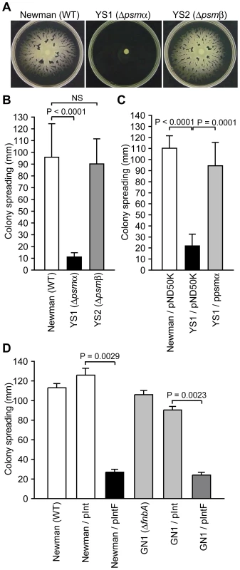 The <i>psmα</i> operon is required for colony spreading.