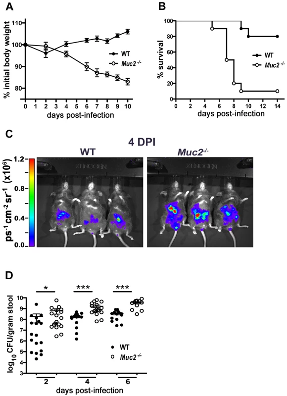 <i>Muc2<sup>−/−</sup></i> mice exhibit dramatic susceptibility to <i>C. rodentium</i>-induced morbidity and mortality.