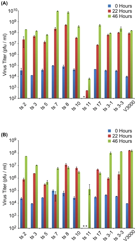 Virus replication at 30°C and 40°C.