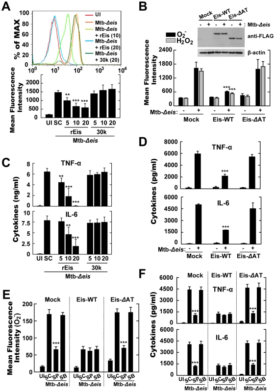 Eis modulates ROS release and proinflammatory cytokine production through its <i>N</i>-acetyltransferase domain.