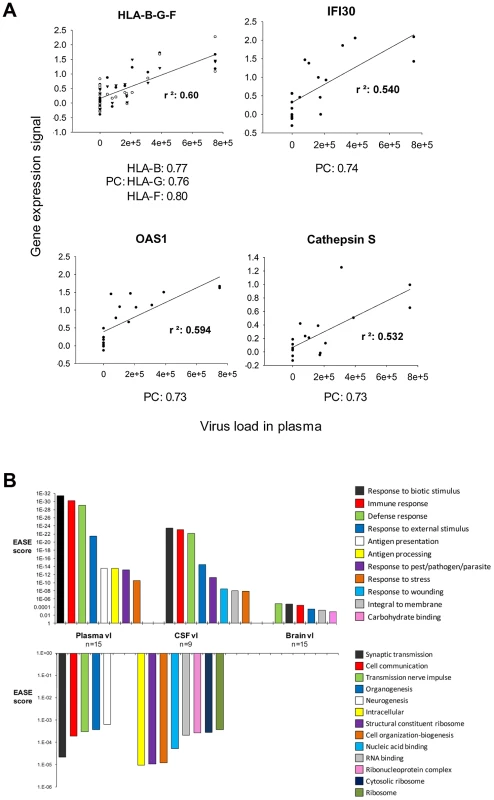 Global gene expression changes in HAND brain correlated the most with plasma and less with CSF and brain virus load.